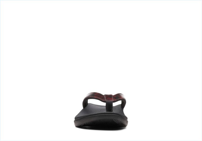  Brio Sol / Tortoiseshell Womens Sandals