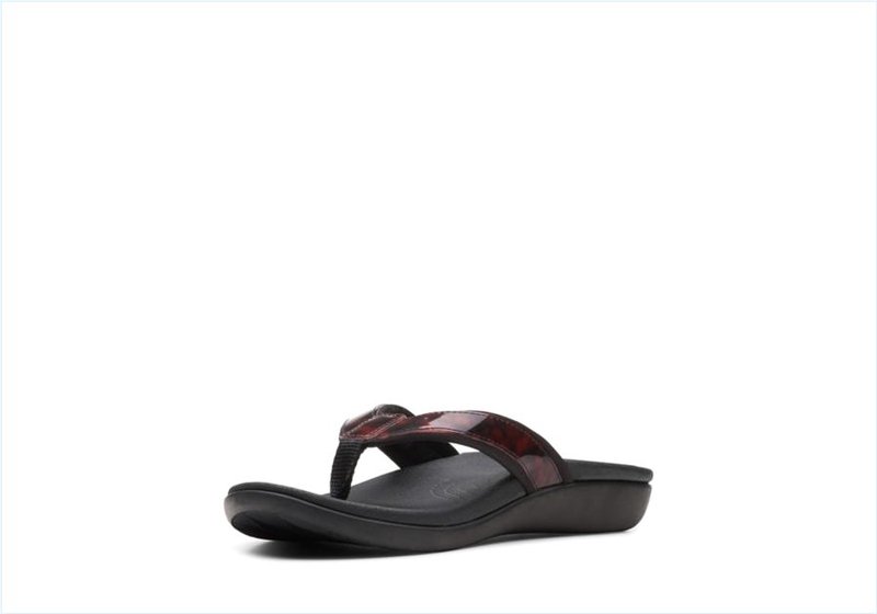  Brio Sol / Tortoiseshell Womens Sandals