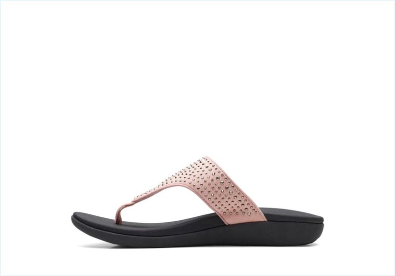  Brio Vibe / Dusty Pink Womens Sandals