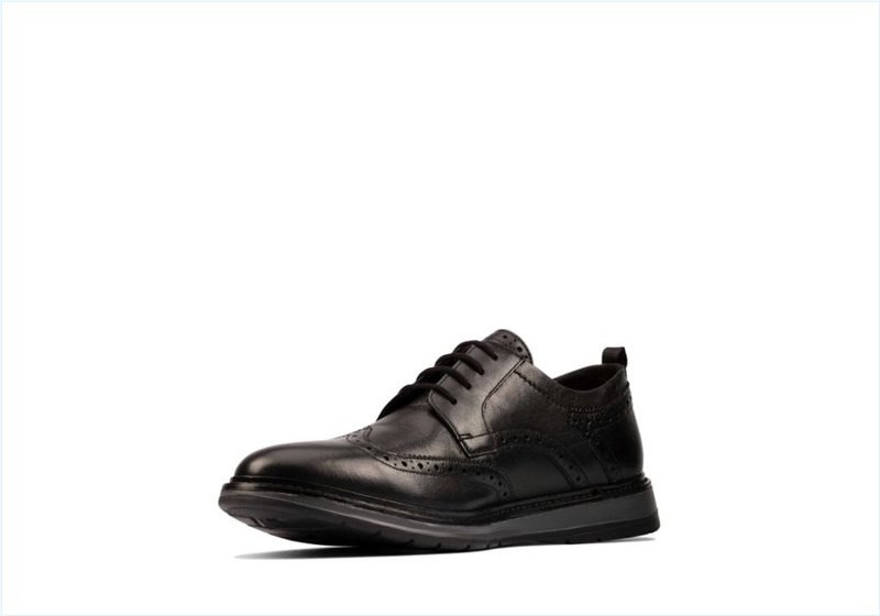  Chantry Wing / Black Mens Shoes