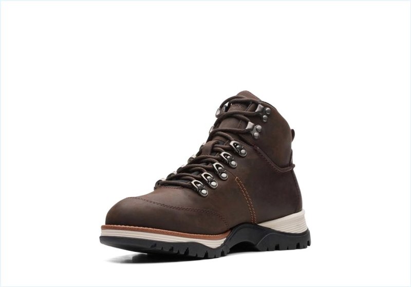  ToptonPine GTX / Dark Brown Leather Mens Boots